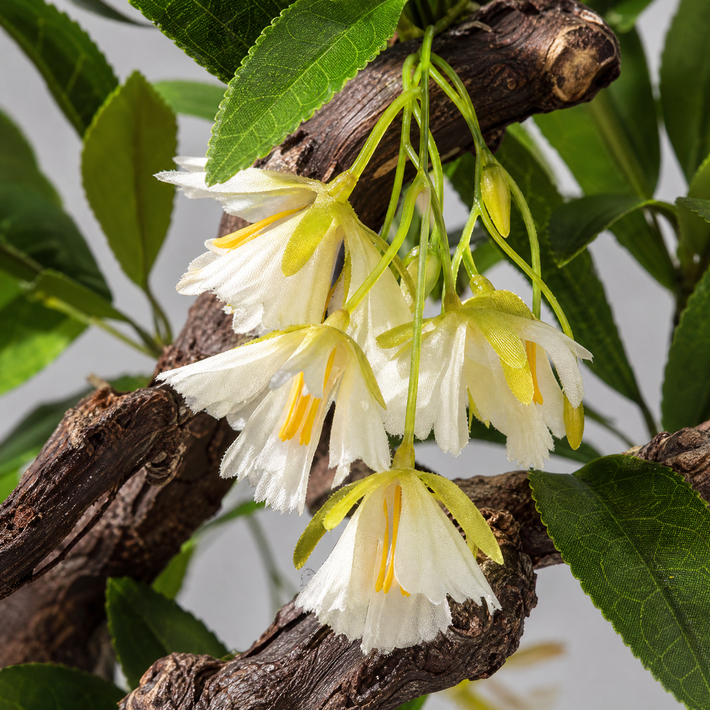 Ikebana