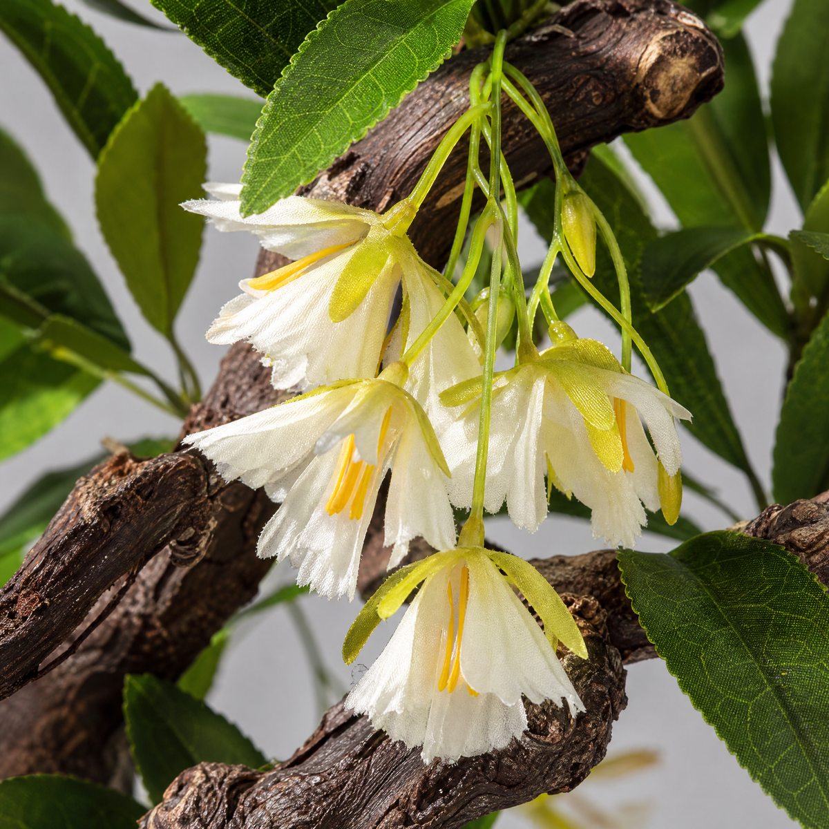 Ikebana