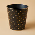 Celestial Star Waste Bin / indoor planter